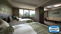 Deluxe Twin Room with a beautiful view of the castle
