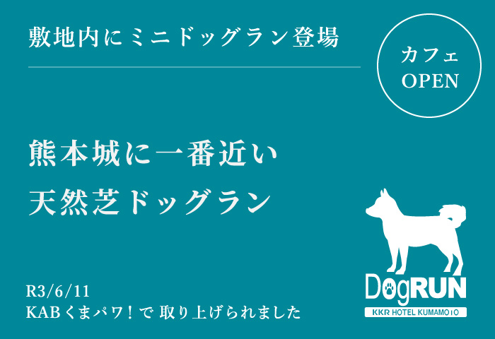 ドッグラン