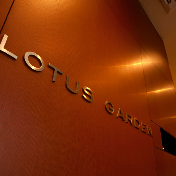 LOTUS GARDEN