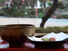 抹茶