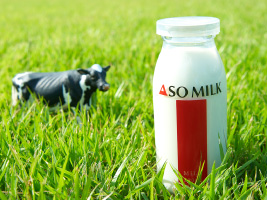阿部牧場のASO MILK
