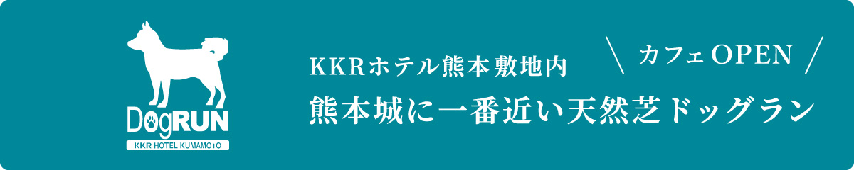 ドッグラン